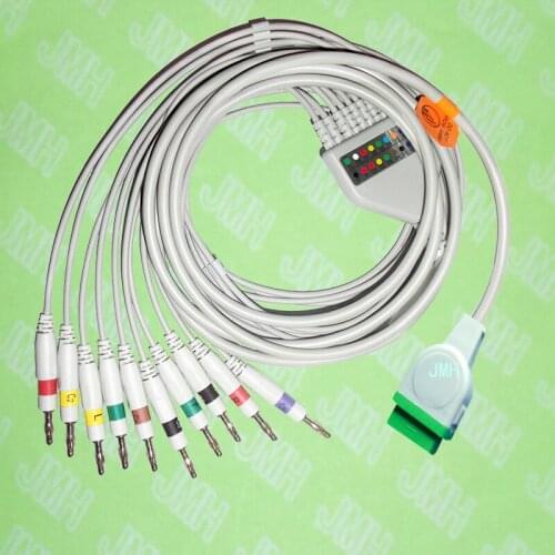 Compatible with GE,Solar,Dash,Tram,Datex Ohmeda EKG 10 lead,One-piece cable and leadwires,11PIN,4.0banana,IEC or AHA