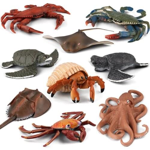 Shellfish Simulation Marine Life Model Octopus Turtle Decoration Hermit Crab Undersea Animals Toys for Children See Animal