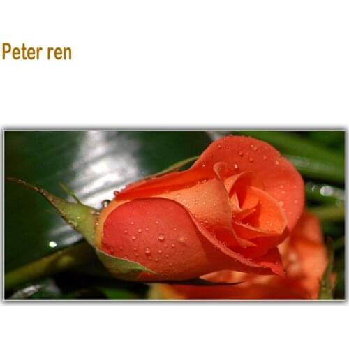 Peter ren A rose Diamond Painting DIY Resin Full Diamond embroidery flower Round\Square mosaic Paintings on the wall decorations