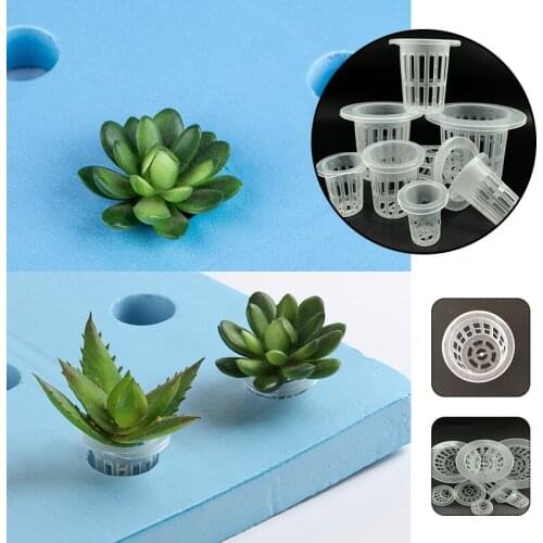 10PCS Hydroponic Mesh Pot Vegetable Planting Basket Soilless Cultivation Equipment Plastic Net Cup Garden Plant Root Fixer