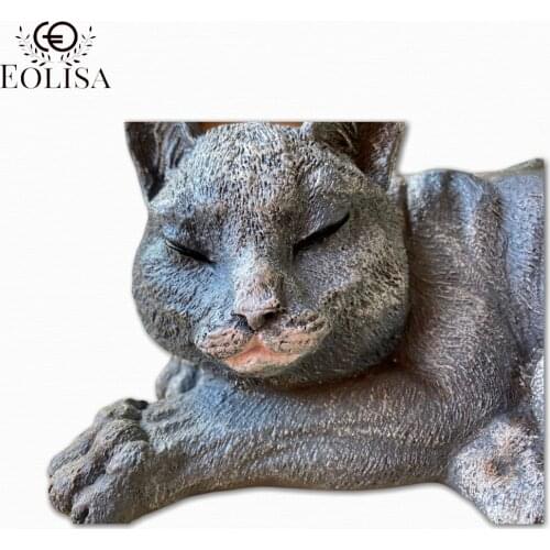 Eolisa Cat friendship bird