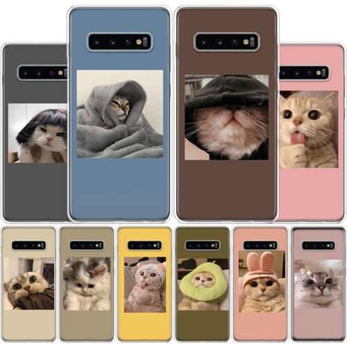 Hot Funny Super Cute Cat Lovely Cover Phone Case For Samsung Galaxy S10 S20 Ultra Note 10 9 8 S9 S8 Plus Pro Lite S7 S6 J4 J6 J8