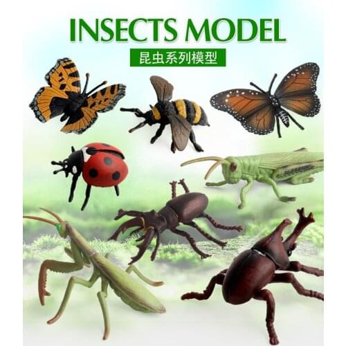 Animals Model Butterfly Grasshopper Coccinella Bee Mantis Uang Stag Beetle Action Figures Miniature Educational Toys For Kids