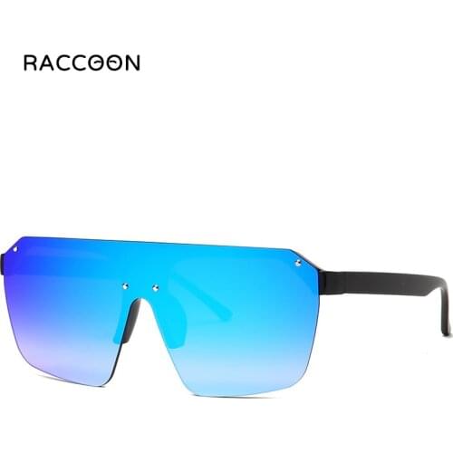 Raccoon Women's Sunglasses Sports