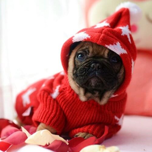 Dogstory Sweaters For Dogs