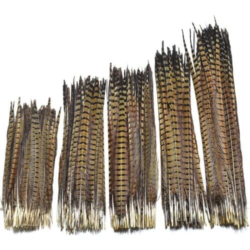 10pcs/lot 25-75CM 10-30"natural pheasant feathers tail crafts wedding decoration DIY indian headdress feather headdress carnival