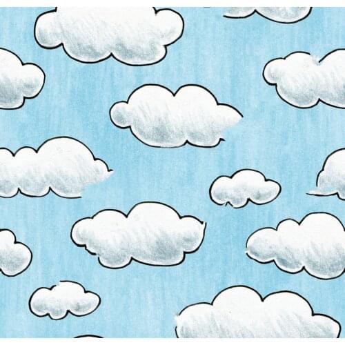 Blue sky Cloudy Cartoon background High quality Computer print children kids photo backdrop