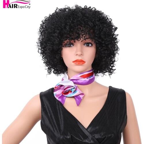 10inch Short Kinky Curly Wig Synthetic Hair Wigs For Black Women Afro Fluffy Hair African Female Wigs Hair Expo City