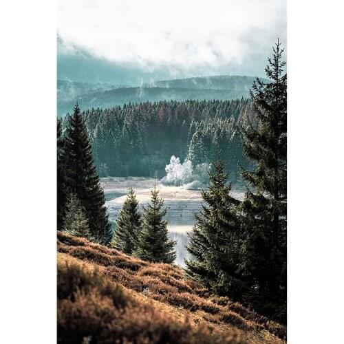 GATYZTORY 60x75cm Framed Painting By Numbers Acrylic Pigment Forest Scenery Picture By Number Handmade Photo Unique Gift