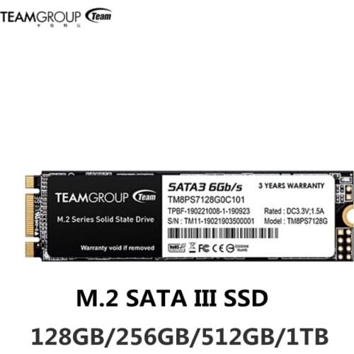TEAMGROUP MS30 Internal Solid State Drive 256GB with SLC Cache 3D NAND TLC M.2 2280 SATA III 6Gb/s Compatible with Laptop PC