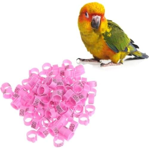 100Pcs 10mm Identify Ring Carrier Pigeon Training Supplies Leg Number Bird Bands