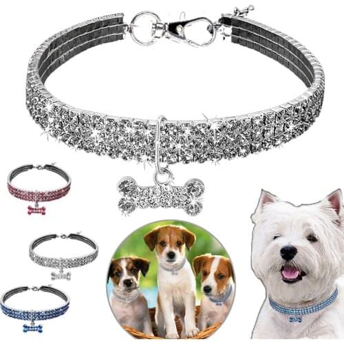 Pet Dog Collar Crystal Bone Pendant Elastic Line Adjustable Pet Puppy Cat Collar Dog Chain Cat and Dog Collar Fine Pet Supplies
