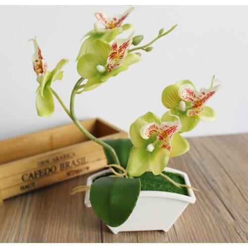 Искусственные растения SOLEDI China At AliExpress