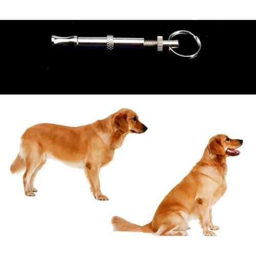Pet Dog Whistle Stop Barking Flute Puppy Animal Training Ultrasonic Sound Repeller Keychain STTA889