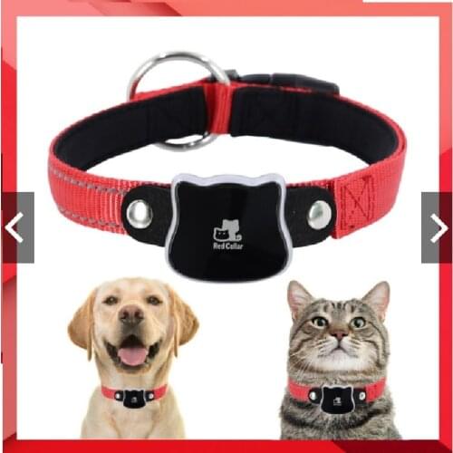 GPS Tracking device Real Time Puppy Cat dog GPS Tracker Collars Pet Locator with free APP RYDG02M