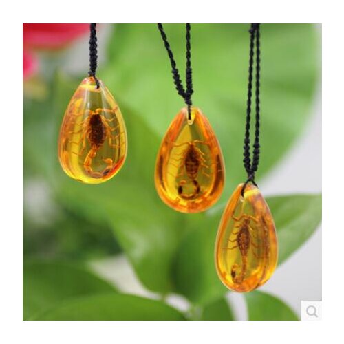 New scorpion king necklace real insect specimen pendants creative true man ornaments children gifts