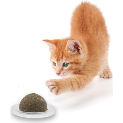 Catnip Toy for Adult Cats for VIP
