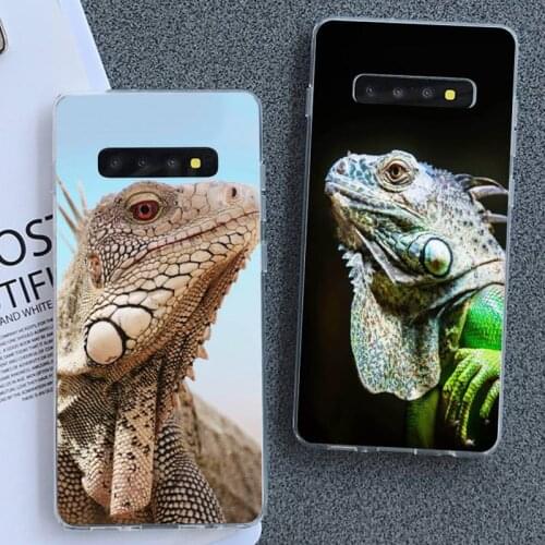 Samsung Galaxy S6 Phone Cases BuDuCoost China