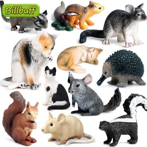 Mini Simulation Reptile Figures Mouse Squirrel Totoro Cat Raccoon Mole Model Collection Cognition Educational Toys for Childrens