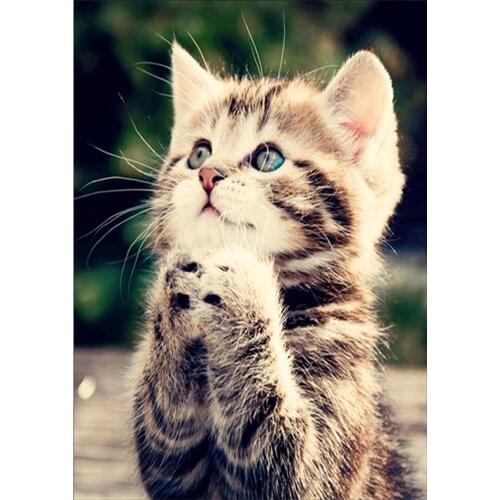 5D diamond painting "animal cat" DIY all-round round diamond embroidery set mosaic home decoration ornaments