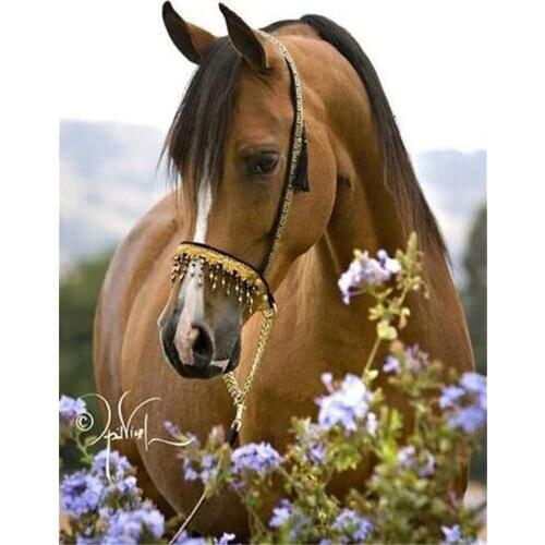 Horse Animal DIY Embroidery Cross Stitch 11CT Kits Needlework Craft Set Printed Canvas Cotton Thread Home Decoration Design