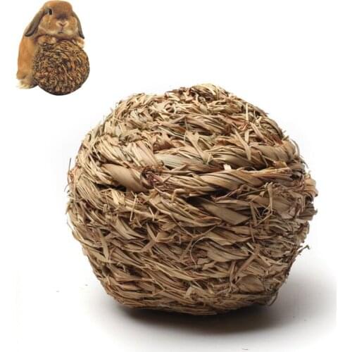 RLJLIVES Animal Care Items