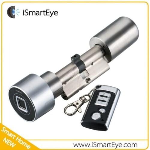 Free DHL FEDEX Shipping Keyless Electronic Digital Free Keys remote control Fingerprint door Lock Cylinder