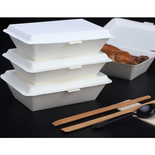 Disposable Packing Box Party No-Clean Food Cases Fast Food Containers Restaurant Packaging Box Takeaway Wrapping Tool Kithenware