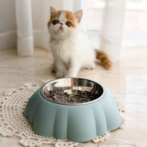 Pet Feeder Single Bowl Dual Purpose Cat Feeding Dish Puppy Drinking Water Bowls Pumpkin Shape Stainless Steel Dog Food Container