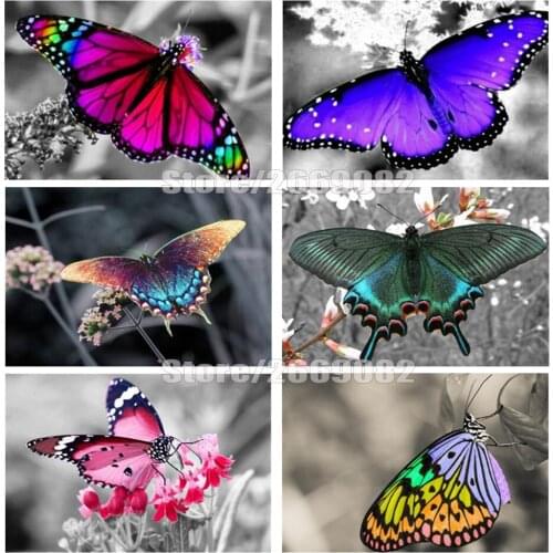 Full Drilling Diamond Painting Animal Handicraft Diy Diamond Embroidery Cross Stitch Butterfly Home Decoration TT1855