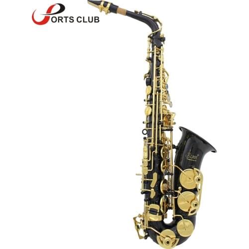 LADE Brass Engraved Eb E-Flat Alto Saxophone Sax Abalone Shell Buttons with Case Gloves Cleaning Cloth Belt Brush