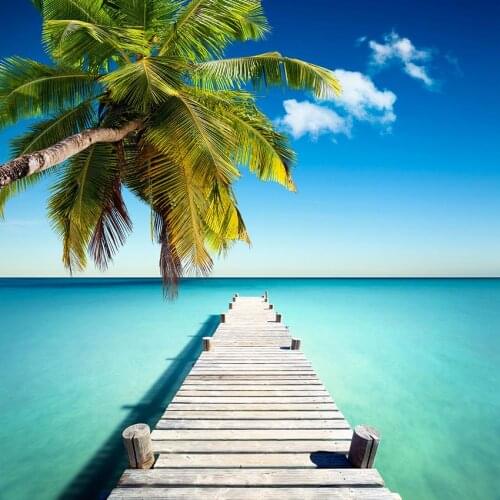 Landscape of sea photo backgrounds vinyl newborns portrait beach wear shop photography backdrops for photo studio props LV-1865