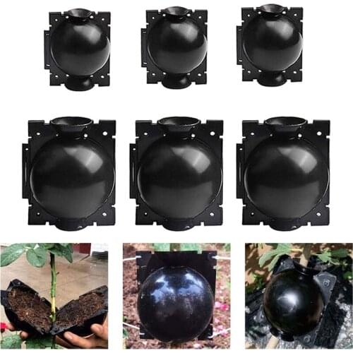 3Pcs Plant Rooting Ball Grafting Rooting Growing Box Breeding Case High Pressure Propagation Ball Box For Garden Plants Sapling