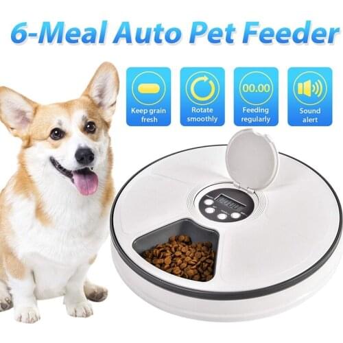 Automatic Pet Feeder Food Dispenser for Dogs Cats Small Animals Features Distribution Alarms Programmed Timed Self 6 Meal