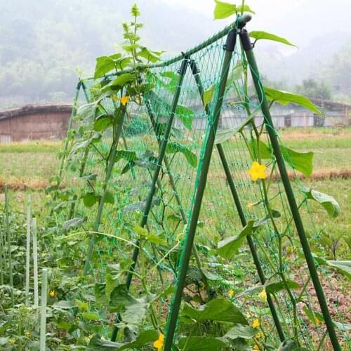 Climbing Bean Plants Nets Grow Fence Garden Nylon Trellis Netting Support for Climbing Flowers Fixed Four Corners
