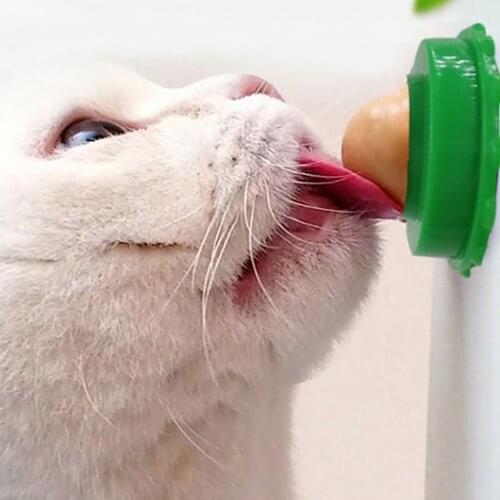 Healthy Cat Catnip Sugar Cats Snacks Licking Candy Nutrition Energy Ball Toys for Cat Kitten Playing Pet Cat Products Cat Toy