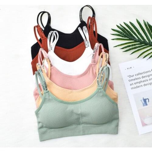 Solid Bra Sexy Bralette Letters Push Up Underwear Wireless Sport Bra Top Padded Seamless Sleep Crop Top Vest Sportwear Girl