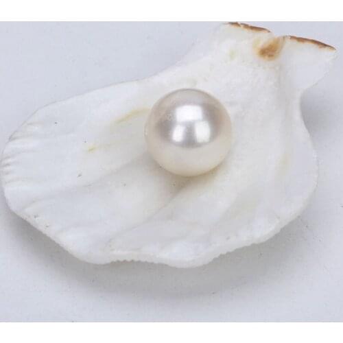 Wholesale 10 PCS ( 5 PAIRS) 8-8.5MM Half drilled round natural freshwater pearl