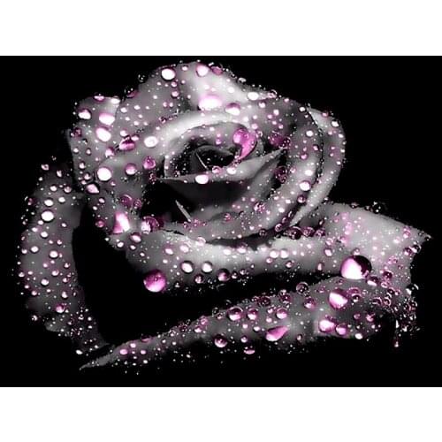 5d Full Square/Round Rhinestones Diy Mosaic Diamond Painting Black Rose Cross Stitch Craft Square Resin Diamond Embroidery