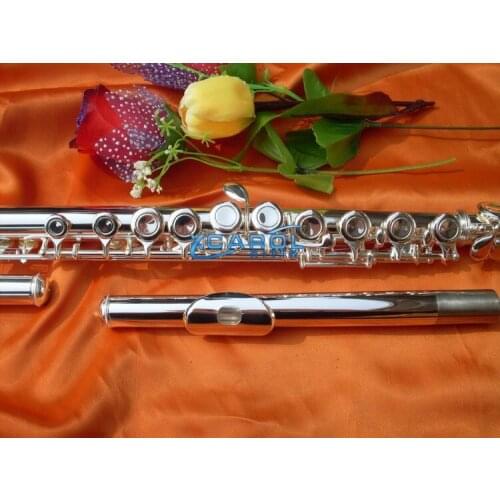 Flute 16 hole Closed & Open Hole C tone E key Nickel Professional Child New #2