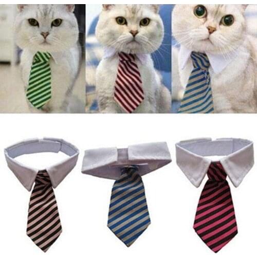 Костюмы Kbxlife China At AliExpress