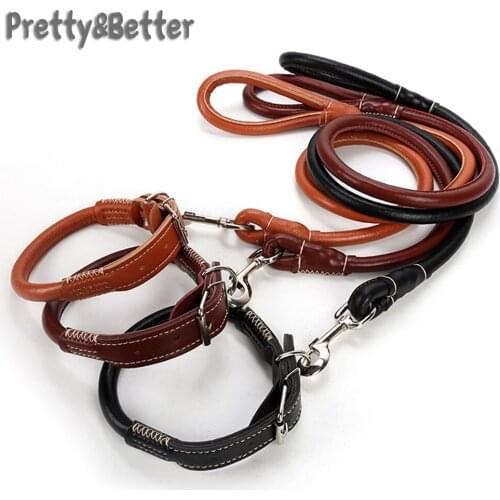 Pretty&Better Dog Harness Leash For Medium Large Dogs Lead Pet Training Running Walking Safety Mountain Climb Big Dog Rope Leash