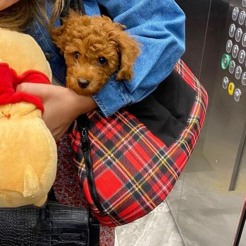 Teepee House Dog Carrying Bags