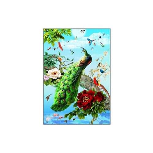 3D DIY diamond painting diamond rhinestones cross stitch kit diamond embroidery mosaic needlework Peacock pictures HY1604