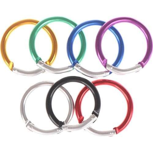 1Pair Round Carabiner Outdoor Camping Hiking Keychain Kettle Buckle Snap Clip