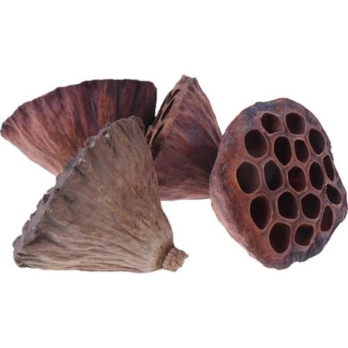1pcs Natural Dried Lotus Flowers Office Decoration Flower Arrangement Home Party Decor Photo Prop Photography Shoots