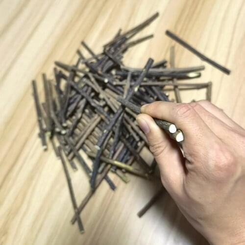 50g / 100g Pure Natural Catnip Pet Cat Toy Molar Toothpaste Branch Cleaning Teeth Silvervine Cat Snacks Sticks 120mm x 3-6mm