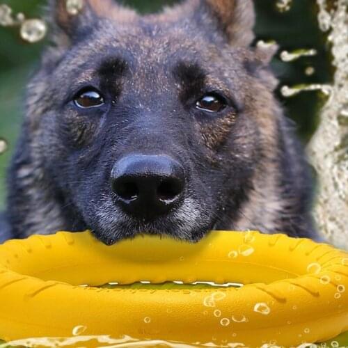 Dog Toys Pet Flying Discs Dog Resistant Chew Training Ring Puller Floating Toy Puppy Outdoor Interactive Game Playing Products