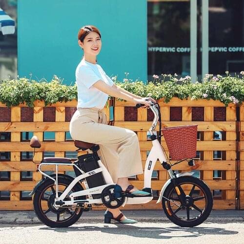 HIMO C16 Electric power-assisted bicycle 48V12AH Urban family parent-child electric bike super loading capacity ebike