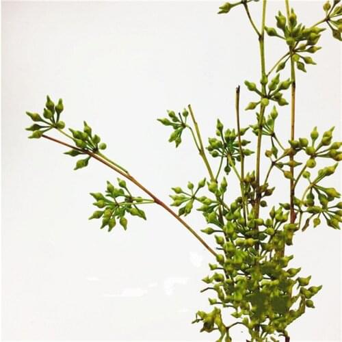 10 pcs Dried Natural Eucalyptus Small Fruits Branch Globulus Millet Flower Bouquet Home Garden Décor